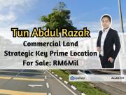 Taman Larkin