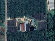Taman Melaka Pindah,Alor Gajah Melaka Agricutural Land