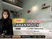 Taman Molek