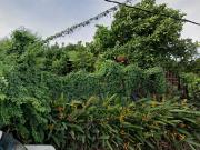 Taman Seruling