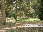 TAMAN TEROH ANGGUN, KARAK