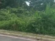 Taman Tiara Titiwangsa