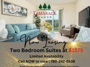 Tamarack Manor