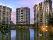 Tambun The Haven Fully Furnished Condominium For Rent