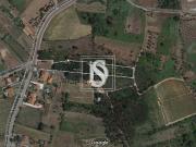 Tamengos, Aguim e Óis do Bairro, Anadia