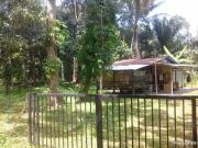 tanah dusun di jeniang, kedah