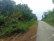 Tanah Kebun Buahan 1.5 ekar Sg Pelong Sungai Buloh