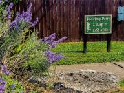 Tanglewood Apartments 1 Bedroom Apartment for Rent at...