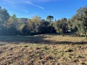 Taradeau Vente Terrain 83