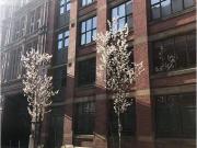 Tariff Street, Manchester M1, 2 bed flat to rent, £1,700...