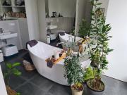 Tasteful apartment with two balconies January 1st to...