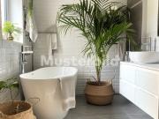 Tauschimmobilie Charmantes 3.5 Zimmer Stadthaus im...