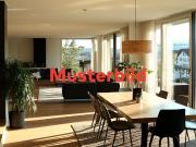 Tauschimmobilie: Charmantes 6 Zimmer Haus in Luzern mit...