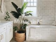 Tauschimmobilie: Modernes 6.5 Zimmer Haus in Uzwil –...