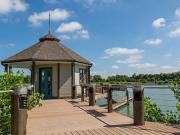 TAVA Waters Apartments 1 Bedroom Apartment for Rent at...