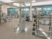 TAVA Waters Apartments 1 Bedroom Apartment for Rent at...