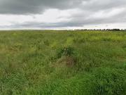 Tavers 45190 Programme neuf terrain neuf à vendre