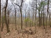 Taylor Ln, Covington, Plot For Sale