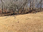 Tbd 13.518 acres Landmark Church Road