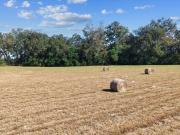 Tbd Ne 150 St, Trenton, FL 32693