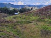 TE VENDO EXTENSA FINCA EN SANTO DOMINGO ANTIOQUIA