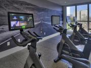 Teal The Whitney On Redpath