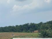 Tebrau Zoning Residential land