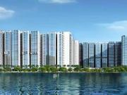 Tellapur 2.5 BHK Apartment For Sale Hyderabad