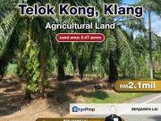 Telok Kong, Klang Agricultural Land For