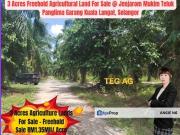 Teluk Panglima Garang