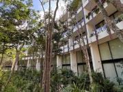 templo mistiq ii #c304