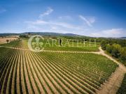 Tenuta Agricola con Boutique Resort in Vendita – Colline...