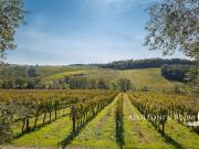 Tenuta dell'Arte appartamenti in borgo ristrutturato...