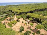 Tenuta in riva al mare a Castagneto Carducci 1300m²...