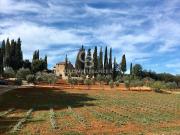 Tenuta in vendita a San Gimignano