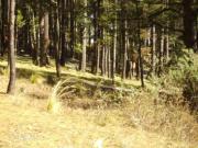 TERA0014 Terreno en Venta en San Francisco Magu, Villa...