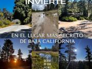 TERENO EN VENTA EN SAN PEDRO MÁRTIR, ENSENADA B.C