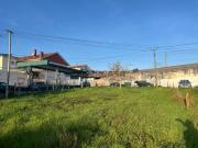 Tereno nos Andrinos Leiria