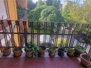 Terni appartamento in affitto a San Valentino