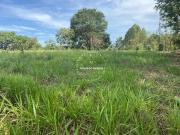 Terra c/ 4.5 alqueires, formada, cÃ³rrego, Ã³tima p/...