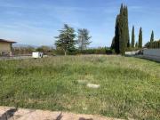 Terra Castiglione Del Lago Umbria DS67162046