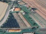 Terra Castiglione Del Lago Umbria DS97100462