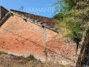 Terra Castiglione Del Lago Umbria ELS97100501