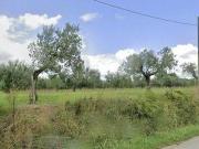Terra Cecina ToscanaTuscany 57023 DS102526003