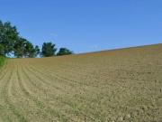 Terra da impiantare. e altro