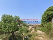 Terra Erice Sicilia 081008 ES92376800