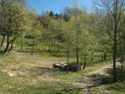 Terra Massa Marittima Grosseto ES87132790