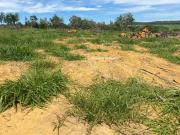 Terra p/ plantio de lavouras, eucalipto, ou gado, 10...