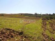 Terra Valderice Sicilia 081022 DS92377136