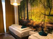 Terrace Apartment near Schönbrunn Palace, Vienna...